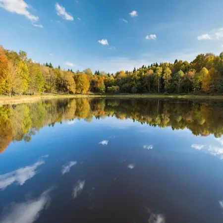 Idyllic In With Forest View *
